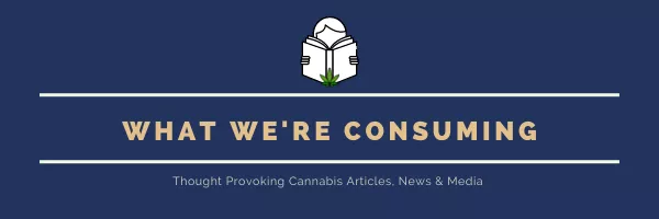 Explore the Benefits of Purchasing Cannabis From CEAS Collective