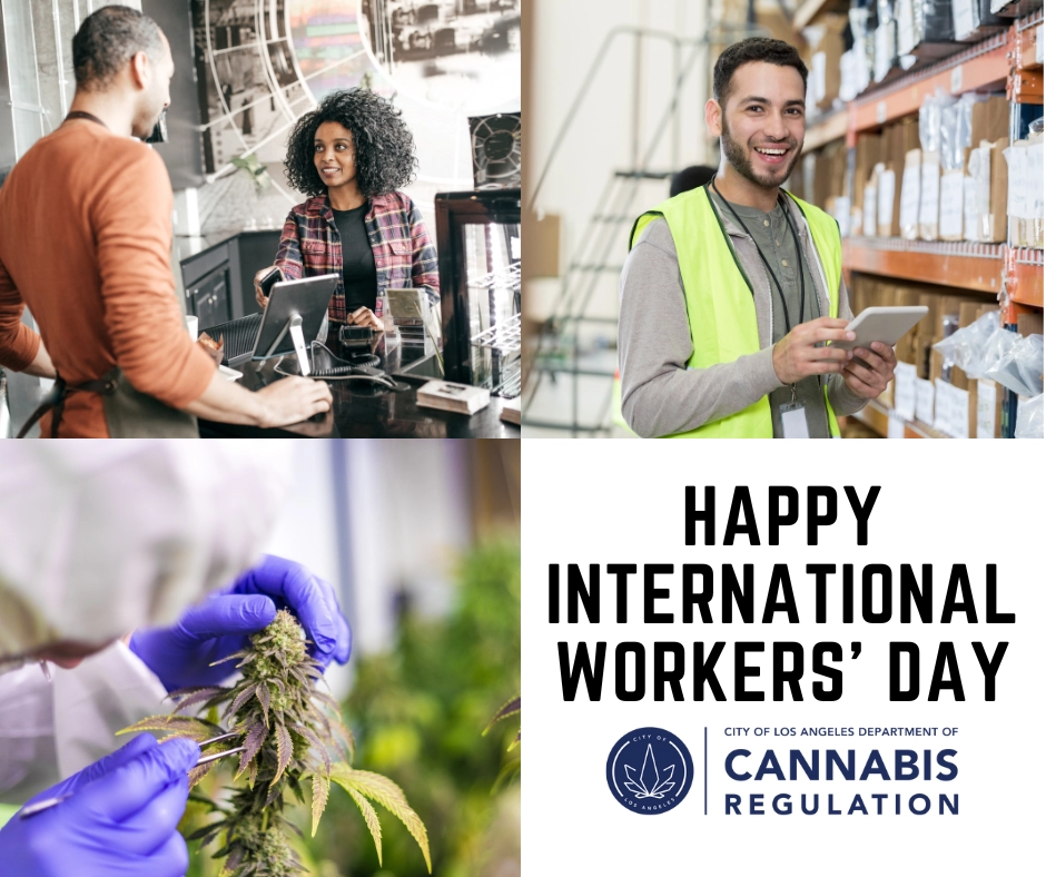 Happy International Worker's Day from the Department of Cannabis Regulation
