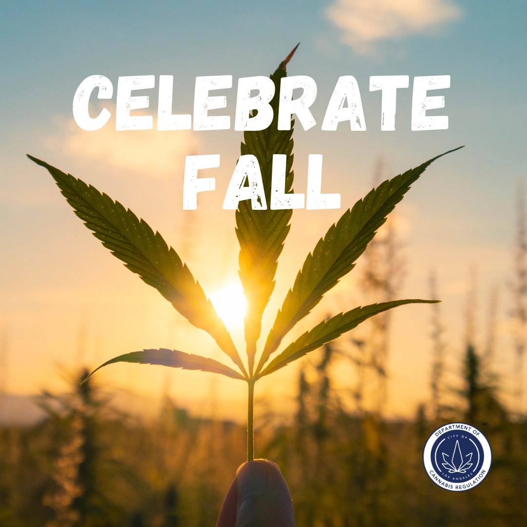 Celebrate Fall