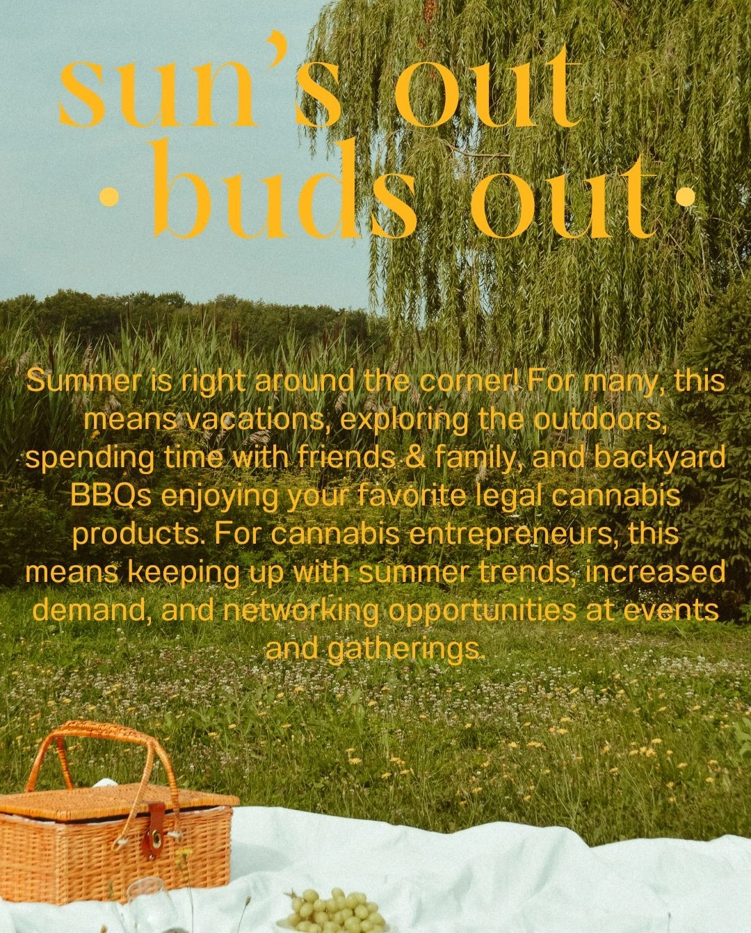 Sun's Out Buns Out: Summertime Marketing Strategies