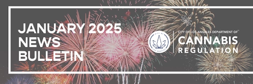 January 2025 News Bulletin; graphic: fireworks