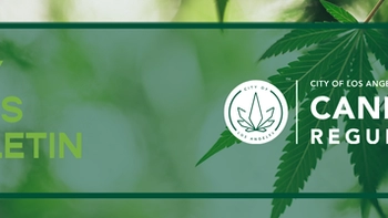 July News Bulletin Banner