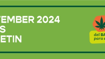 September 2024 News Bulletin