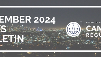 November 2024 News Bulletin