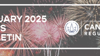 January 2025 News Bulletin; graphic: fireworks