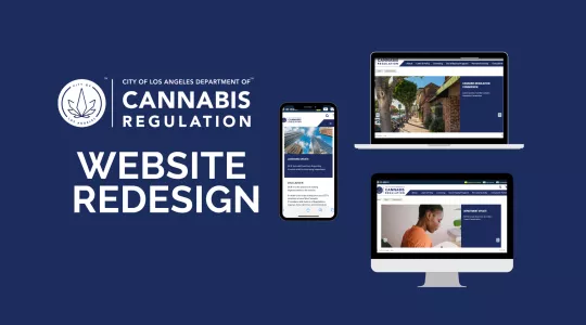 website redesign info