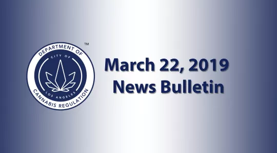 Spring Bulletin