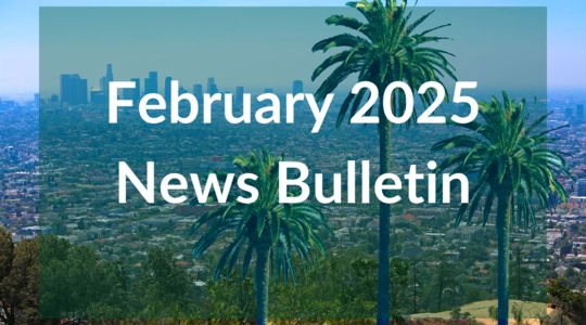 February 2025 News Bulletin