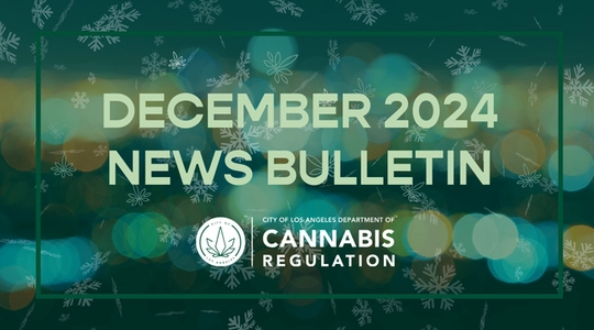 December 2025 News Bulletin