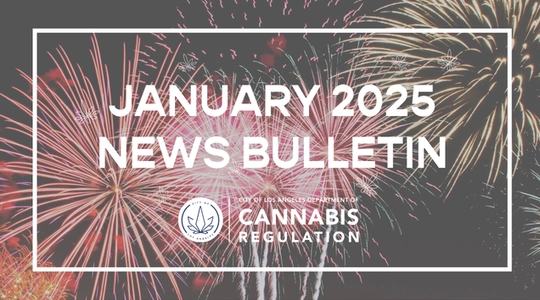 January 2025 News Bulletin