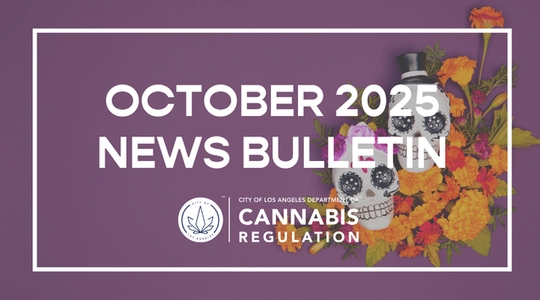 October 2025 News Bulletin with image of sugar skulls and marigolds in the background