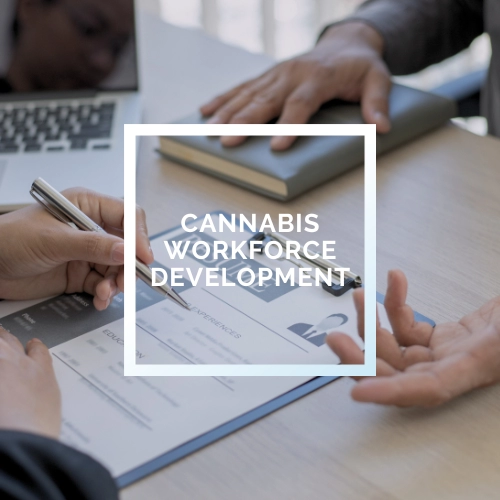 California Workforce Development