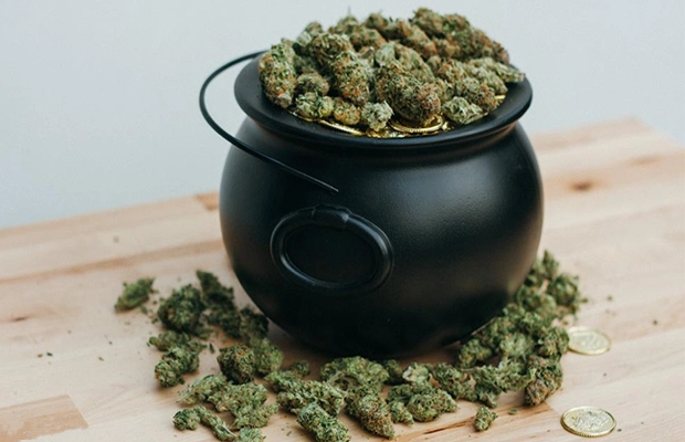 Decorative Image - Buds in Pot