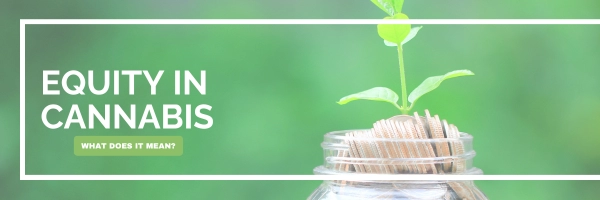 Photo of top sections of a glass jar filled with money and a plant growing out of top