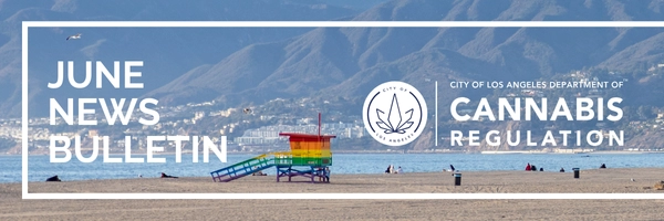 beach scene with lifeguard station painted in rainbow colors