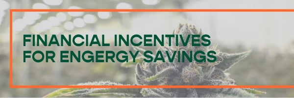 Financial Incentives for Energy Savings