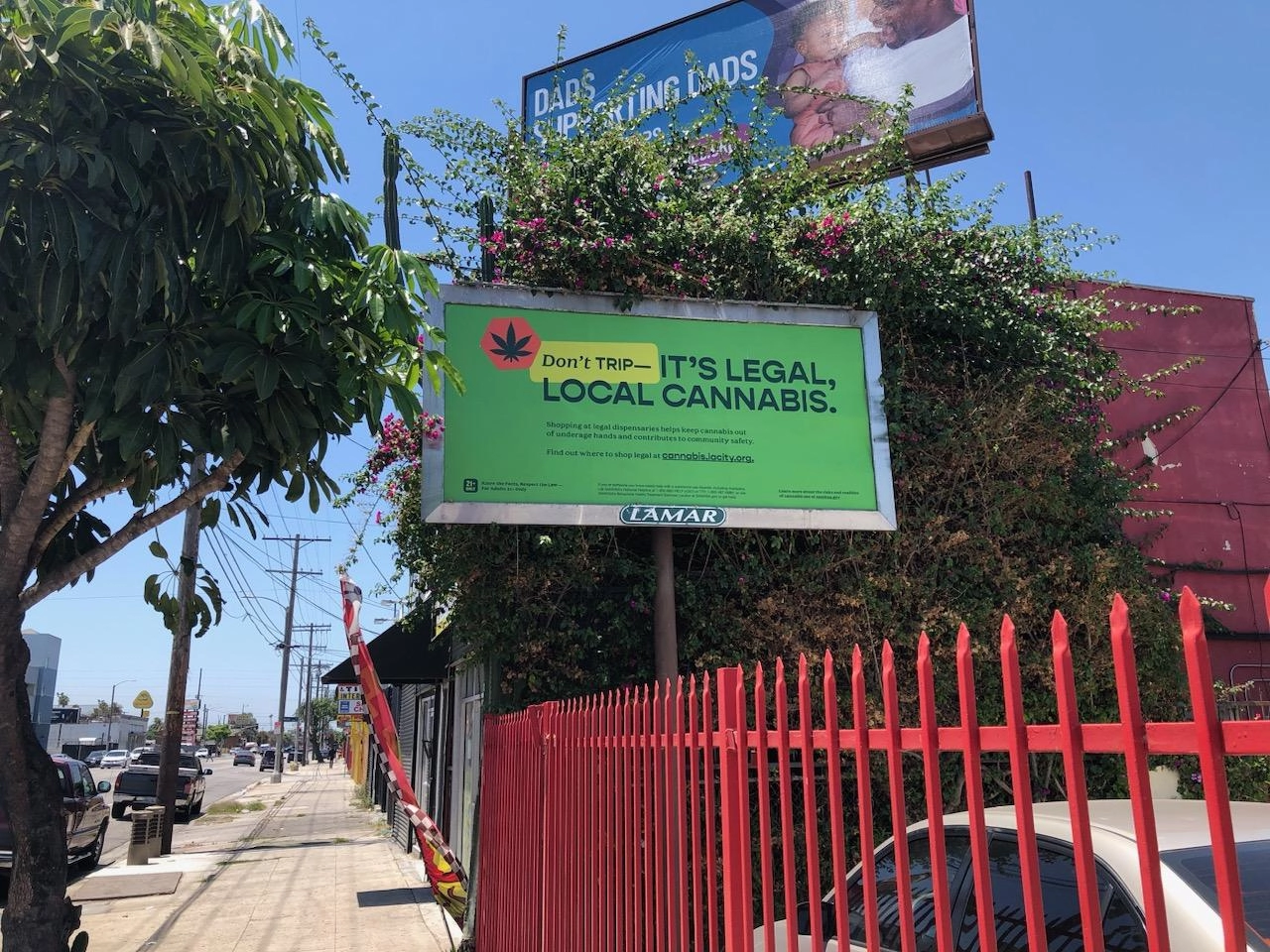 Legal, Local Cannabis Billboard -2