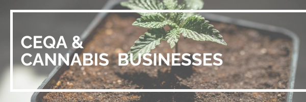 CEQA and Cannabis Businesses