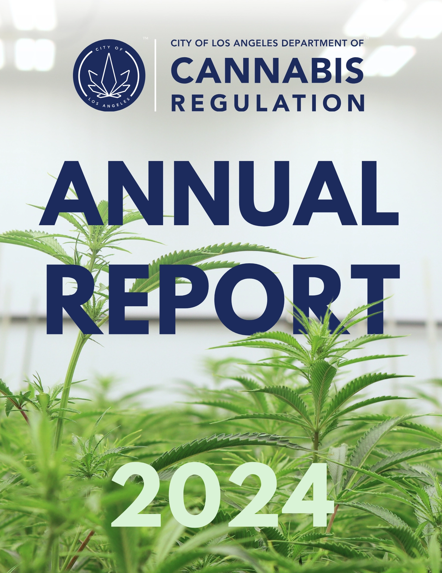 Annual Report 2024, Graphic: logo of Department of Cannabis Regulation with a background of cannabis plants
