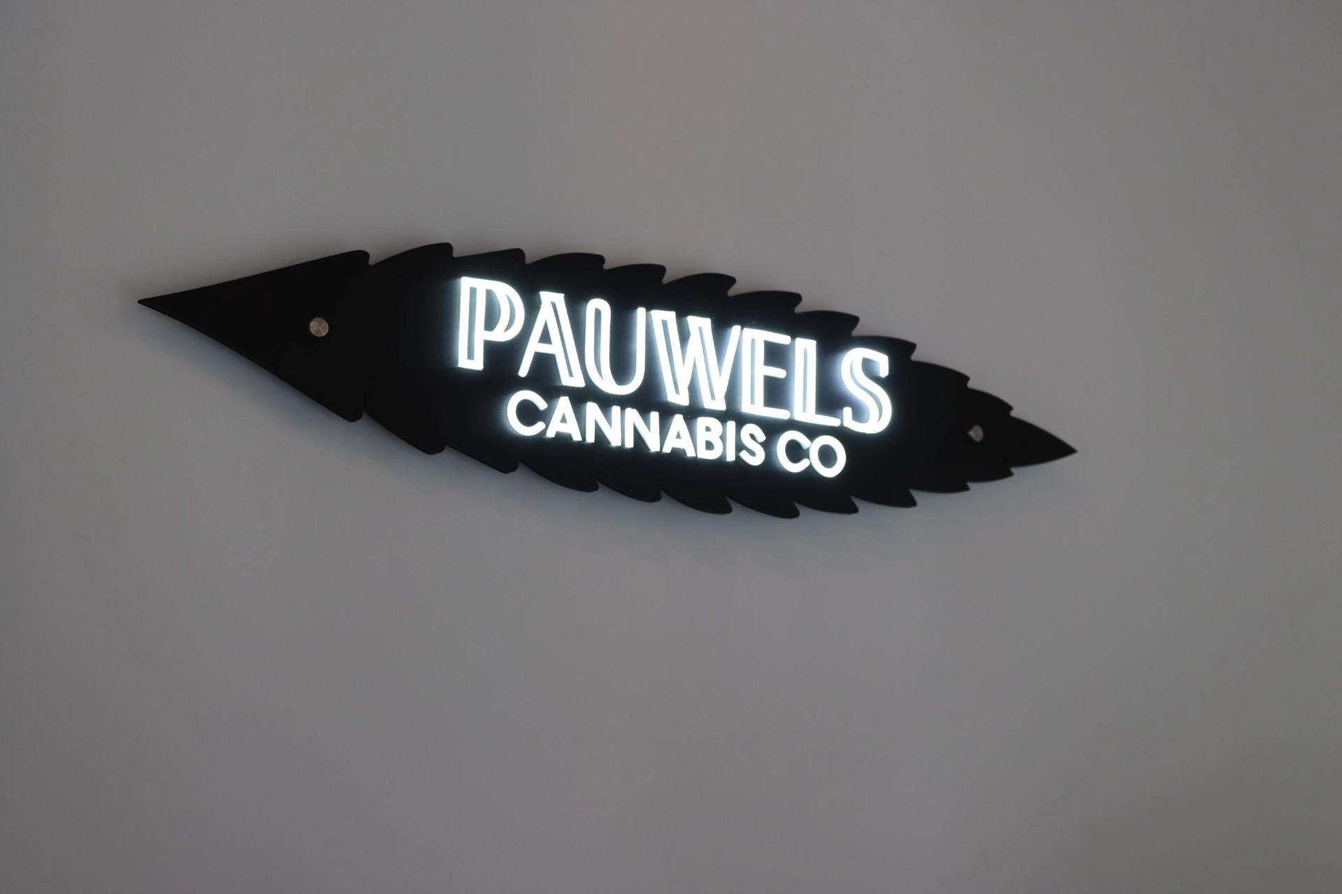 image of store sign that reads Pauwels Cannabis Co.
