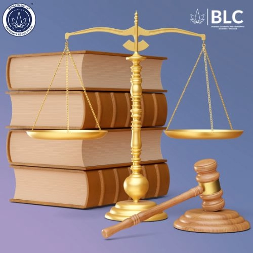 legal scales, a gavel and books
