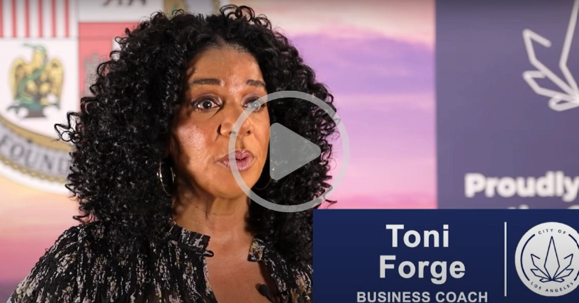 Toni Forge YT Snapshot