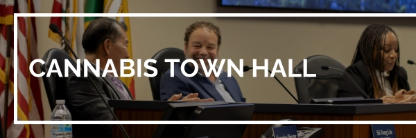 Cannabis Town Hall, graphic: commission members at a meeting